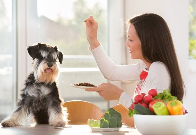 dog with woman with bowl of vegetables including radishes