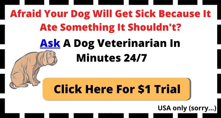 ad for veterinary services